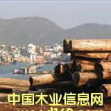 �c(di��n)���鿴ʲô��ɭ���J(r��n)�C���Ŵ�DƬ