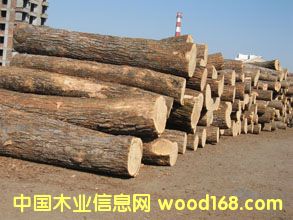 �c(di��n)���鿴��ʲô��Ҫɭ���J(r��n)�C���Ŵ�DƬ