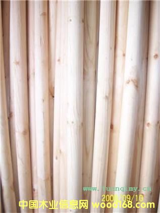 ������ľ��