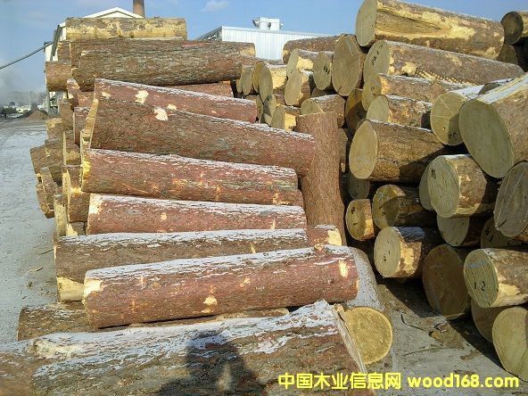 ������1�����ҵ�Ԕ��(x��)��B