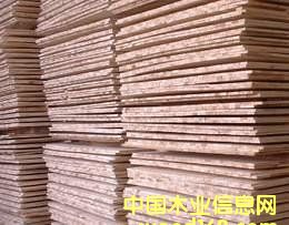 ��ľ����о��Ԕ����B