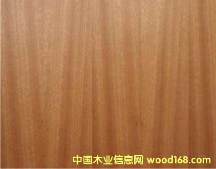 沙比利木皮 沙比利木皮