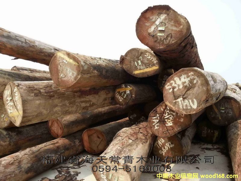 TAU��ľ/�����۵�Ԕ��(x��)��B