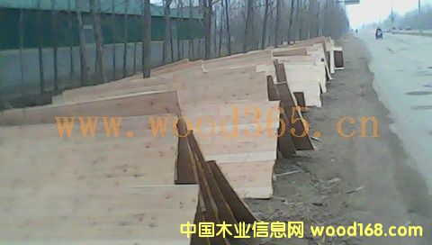 �N����Ԕ��(x��)��B