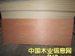 ���ǹ��z�ϰ��Ԕ����B