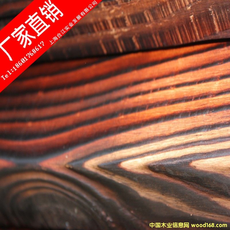 �c(di��n)���鿴�Fɼ/�F��̿��ľ�Ŵ�DƬ