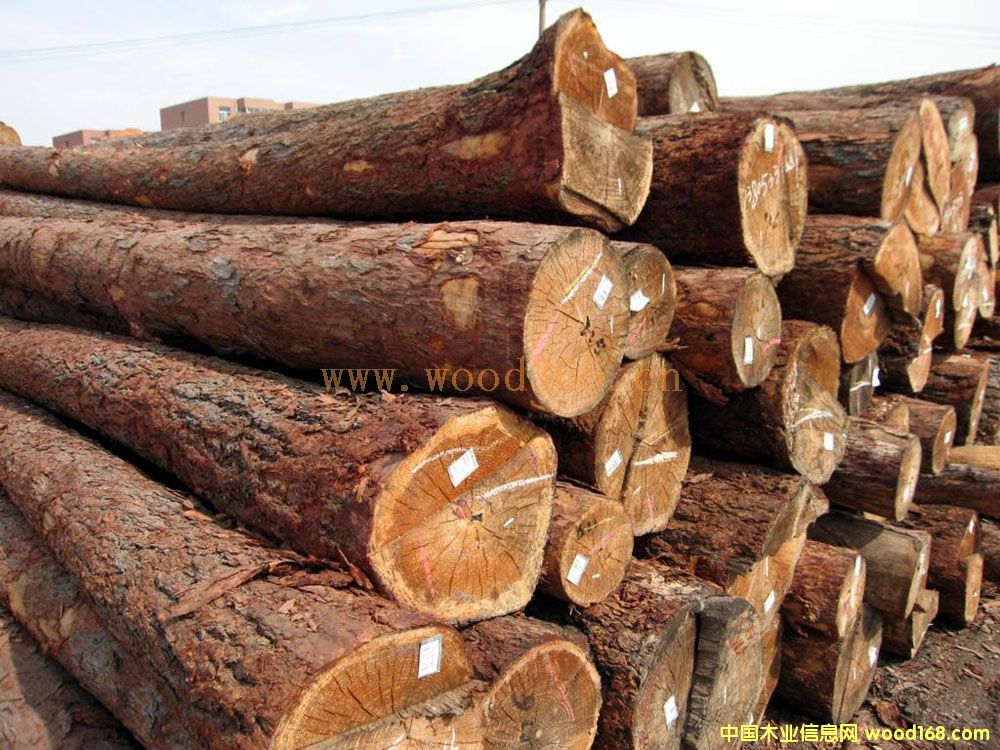 �����ɵ�Ԕ��(x��)��B