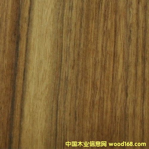 �c(di��n)���鿴��ľľƤ�Ŵ�DƬ