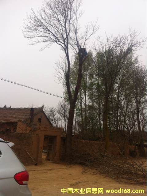 �ľԭľ��Ԕ����B