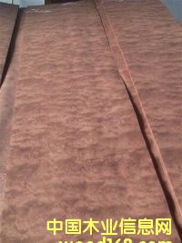 ���ͻ����Ԕ����B