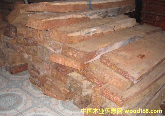 ��������ľ��Ԕ��(x��)��B