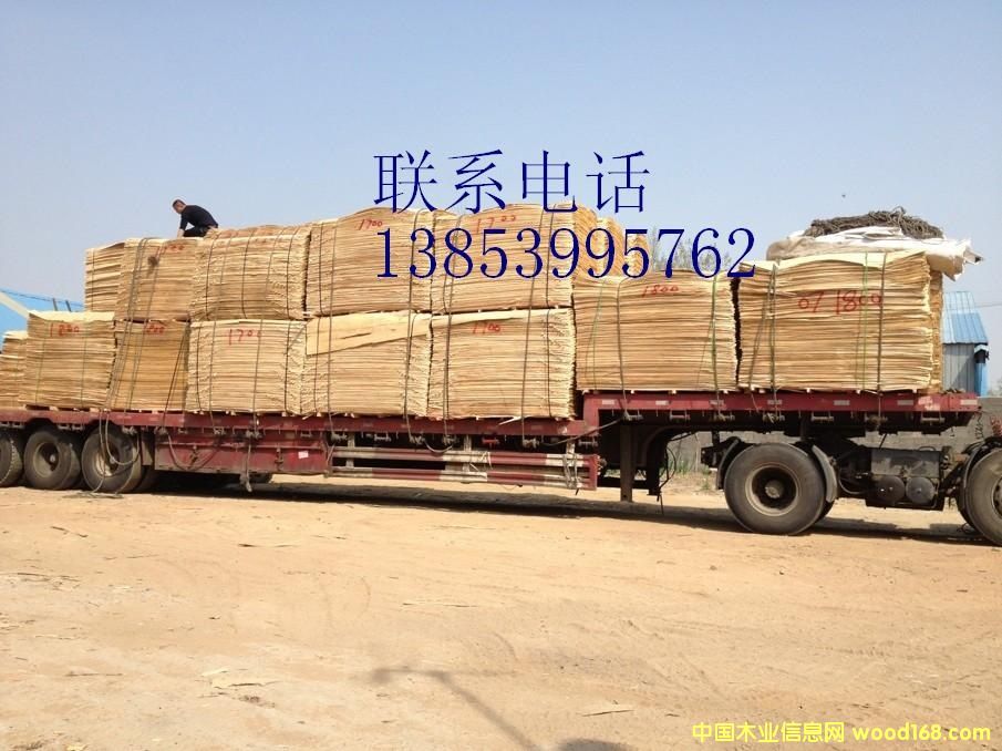 �c���鿴����ģ��ݗ������Ƥ�Ŵ�DƬ