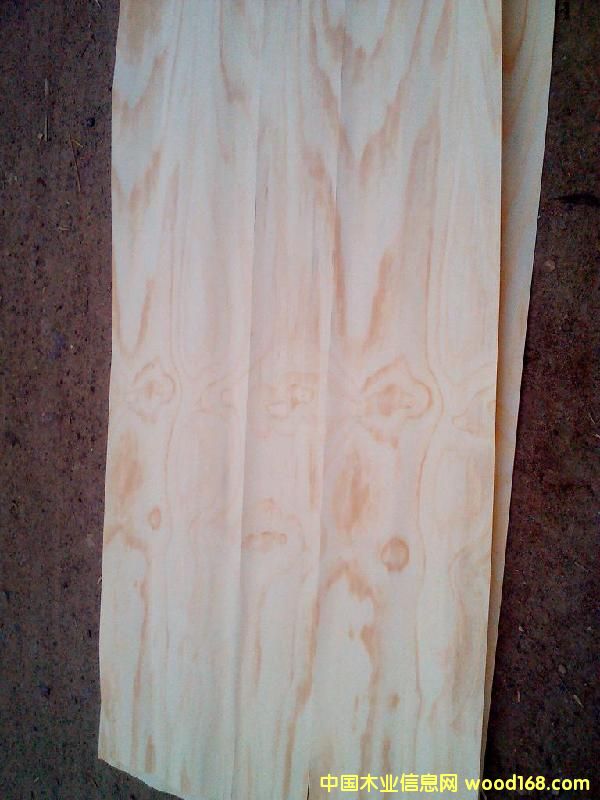 �c���鿴ݗ������Ƥ�Ŵ�DƬ