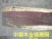 ��ľ|�ɏ�(f��)�_(t��i)|����ľ|���F��|�����Kľ|�S��|�����M(j��n)�����P(gu��n)