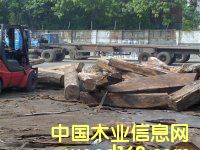 �@ʯ�t̴|�F����|��Ьľ|�p���Kľ|�S��|�����M�����P(gu��n)