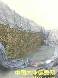 ��������̴|����ľ��|����ľ��|ӡ��|�S��|�����M�����P(gu��n)  