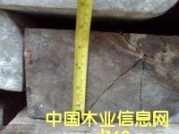 �Z�а�|�p���Kľ|�G����|�����Kľ|�S��|�����M�����P(gu��n)