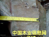 �Fľ��|���p���궹|�������}��|������ľ|�S��|�����M(j��n)�����P(gu��n)