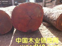 �����Kľ|�����u��|��Ƥɽ��|������ľ|�S��|�����M(j��n)�����P(gu��n)