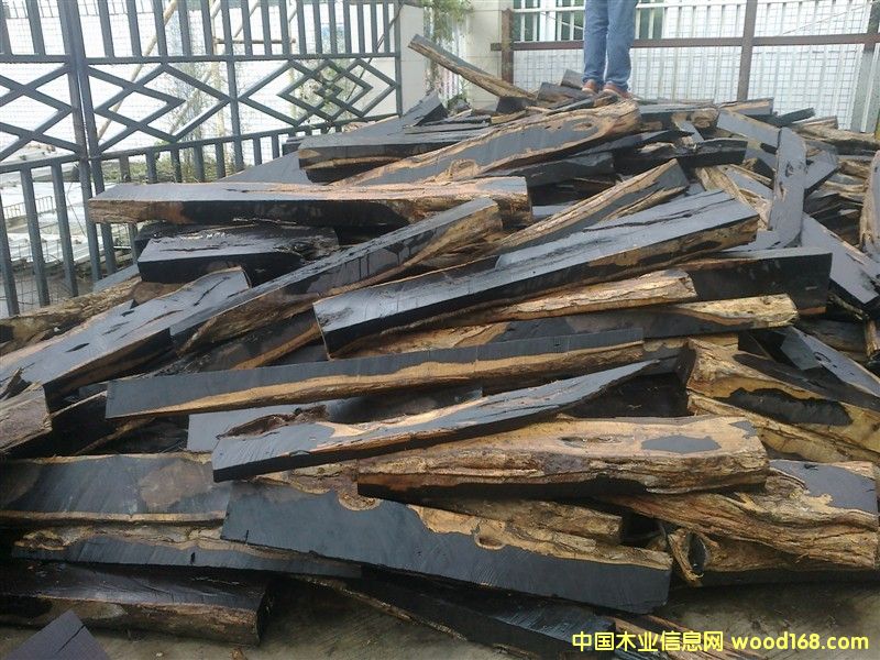 Ƥ��|����̴|���S̴|����֦|��̴|��̴|�S��|�����M(j��n)�ڈ�(b��o)�P(gu��n)