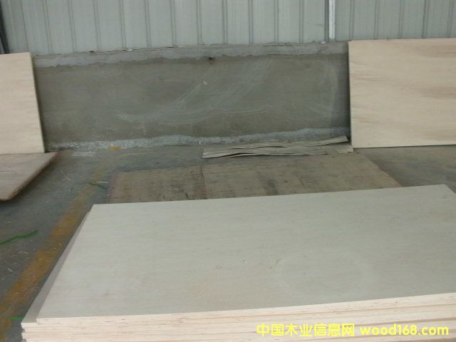 [��] �������NҎ(gu��)�񼰮��θ��Nһ�γ��Ͷ��γ��Ͱ��b��