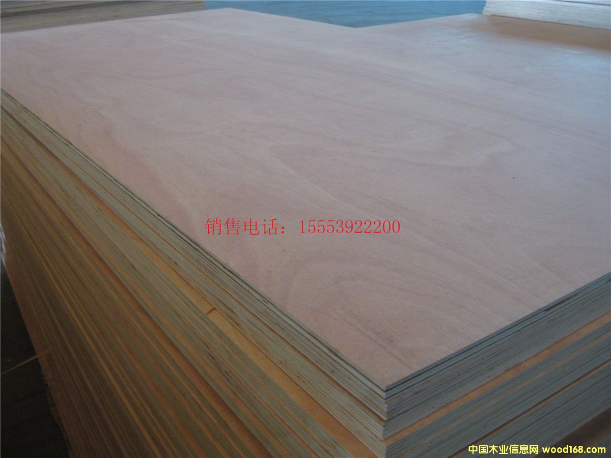 [��] �������NҎ(gu��)�񼰮��θ��Nһ�γ��Ͷ��γ��Ͱ��b��