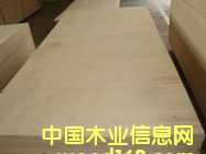 [��] �ΰ�ӻ���lvl����ľ���Ӱ壩��ľ�� 