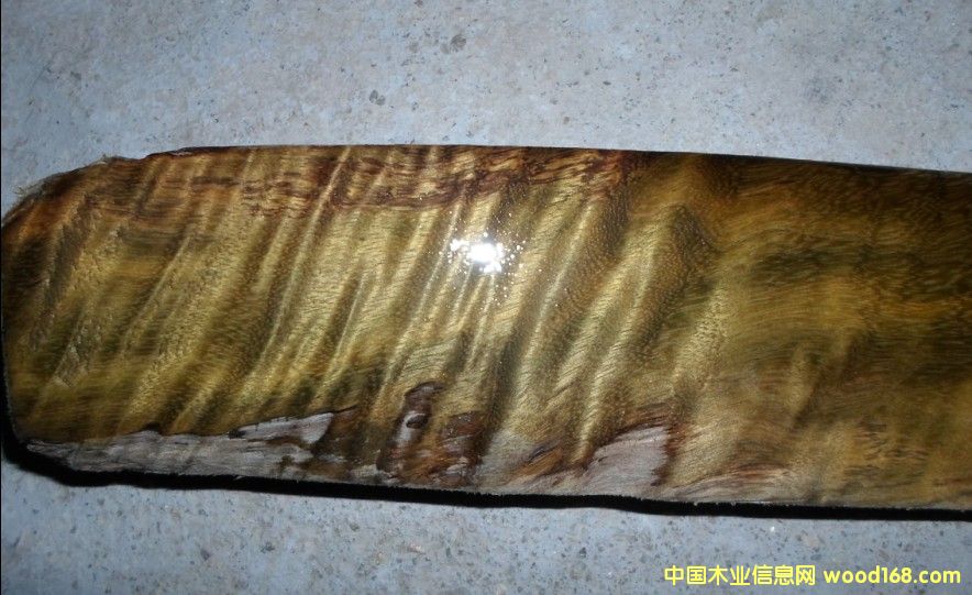 �c(di��n)���鿴��z�ꎳ�ľ�Ŵ�DƬ