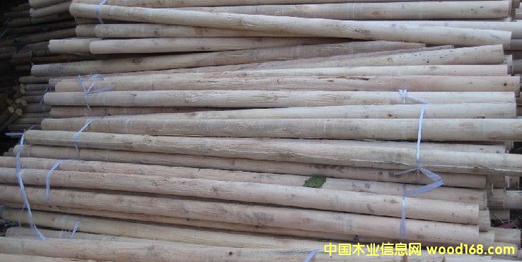 �@ľ����ľо1