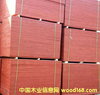 高強度建筑木膠合板 高強度建筑木膠合板