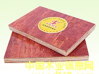 �ߏ�(qi��ng)��ľ�z�ϰ�