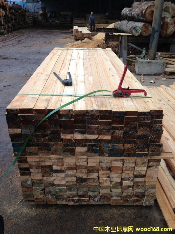 輻射松9 輻射松9