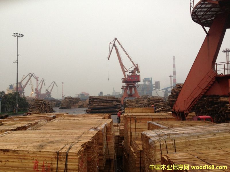 ���~�ɷ�ľ3