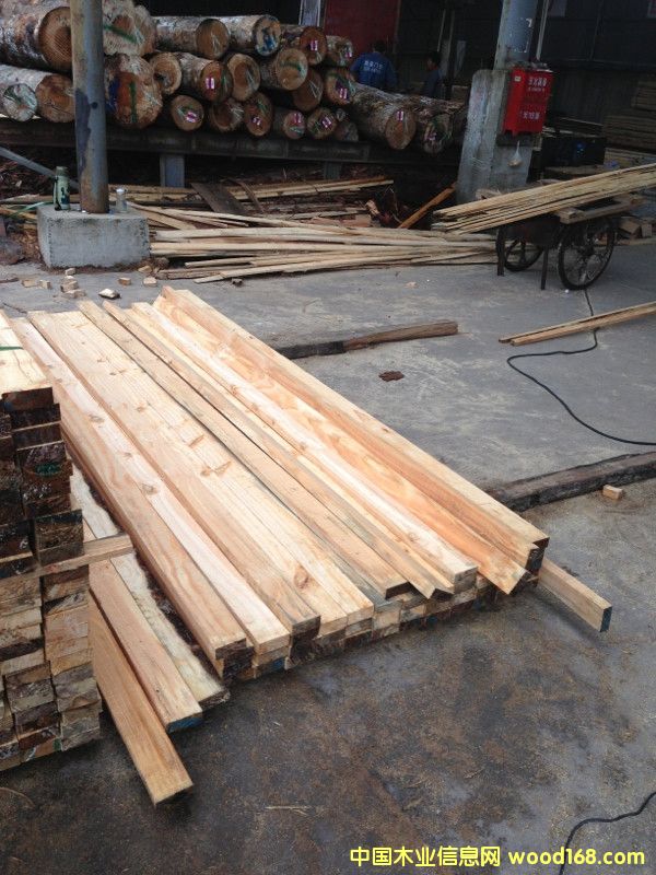 輻射松木方8 輻射松木方8