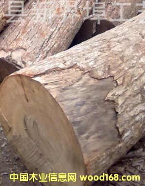 ��(y��u)�|(zh��)����