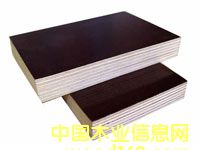 ����ģ��