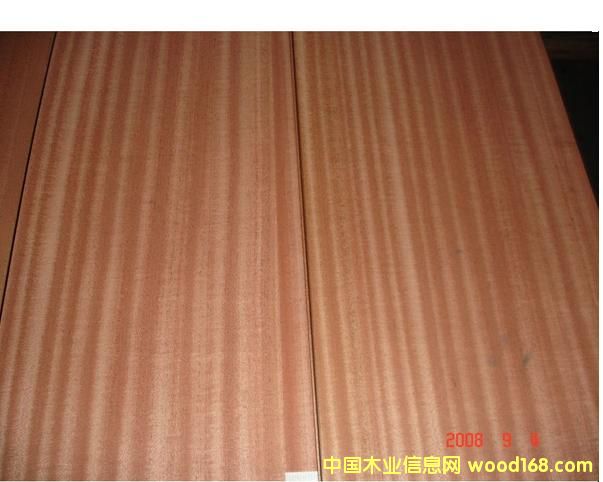 �o(w��)����ɳ����ľƤ