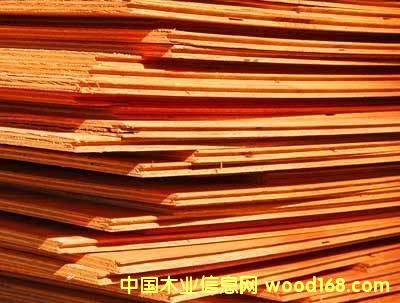 ��(gu��)ܛľ�z�ϰ�