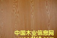 ���B(t��i)��(y��u)����Ԕ��(x��)��B