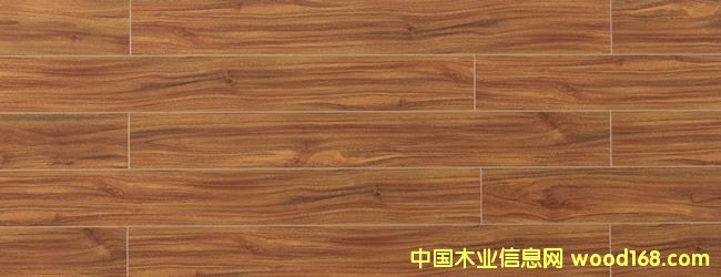 K809-�GҰƼۙ-�����ذ�