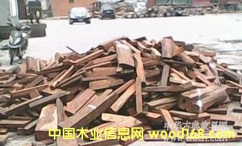 �ϓ��t��֦(��ֺ�S̴)