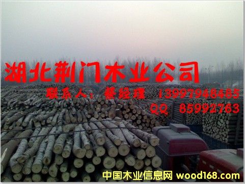 ������ُ����ľ�ĵ�Ԕ��(x��)��B