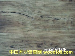 �Ҿ����f̎�턩��Ԕ��(x��)��B