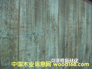 ľ�����f����Ԕ��(x��)��B