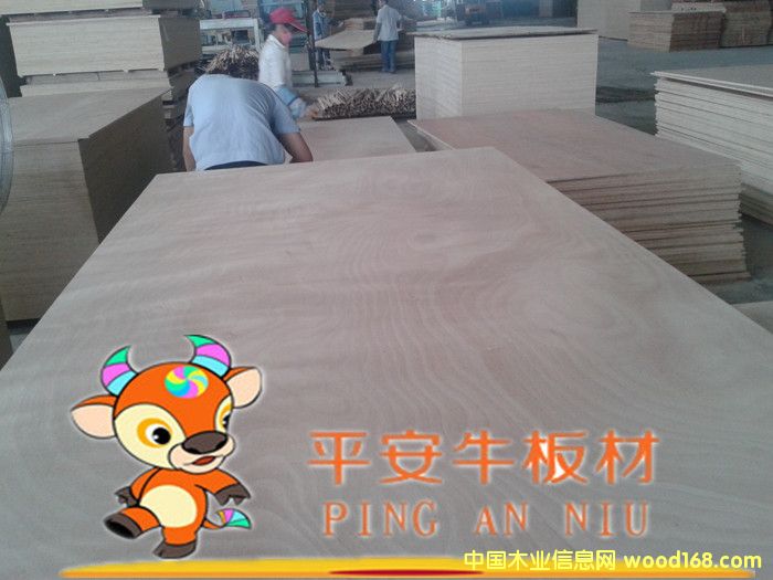 �ߙn�Ҿ߶��Ӱ��������z�ϰ�����ľ�N����Ԕ��(x��)��B