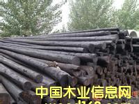 ����늗U��Ԕ����B