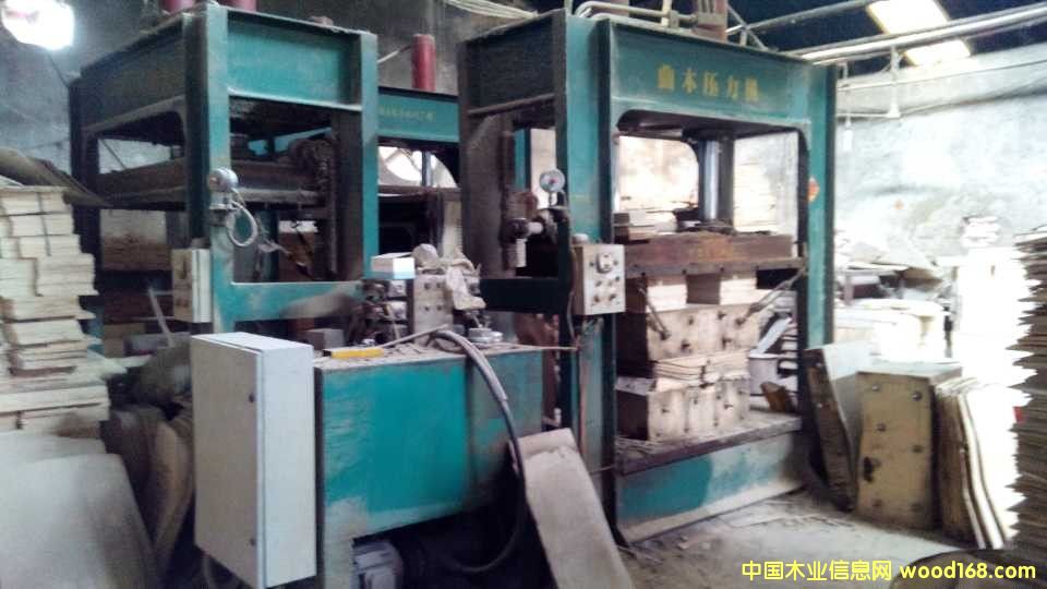 ��ľ�����C(j��)��Ԕ��(x��)��B