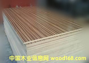 斑馬的詳細介紹