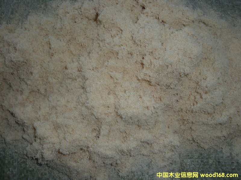 ���s�ĩ��Ԕ��(x��)��B