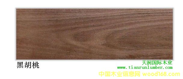 �ں���  Walnut